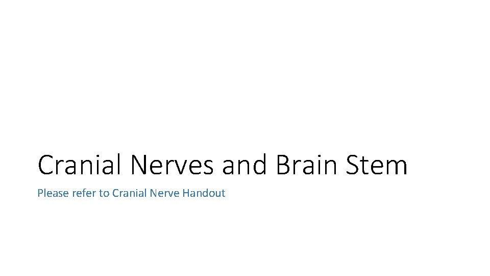 Cranial Nerves and Brain Stem Please refer to Cranial Nerve Handout 
