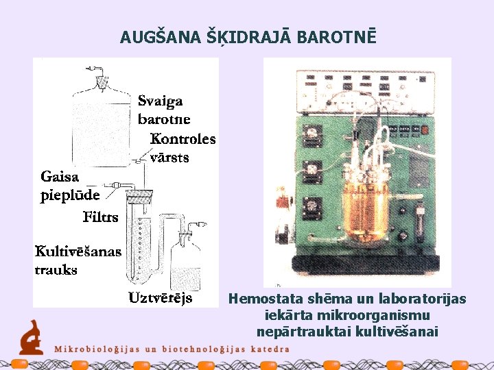 AUGŠANA ŠĶIDRAJĀ BAROTNĒ Hemostata shēma un laboratorijas iekārta mikroorganismu nepārtrauktai kultivēšanai 