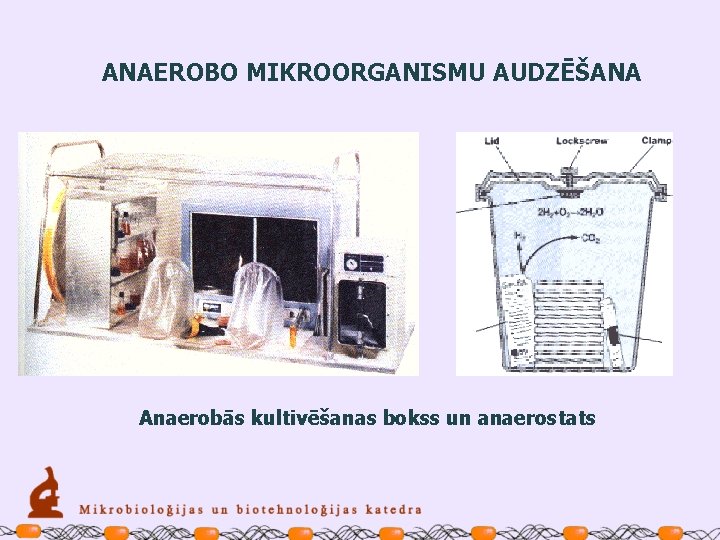 ANAEROBO MIKROORGANISMU AUDZĒŠANA Anaerobās kultivēšanas bokss un anaerostats 