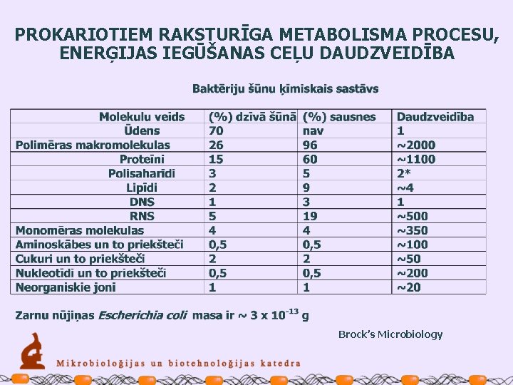 PROKARIOTIEM RAKSTURĪGA METABOLISMA PROCESU, ENERĢIJAS IEGŪŠANAS CEĻU DAUDZVEIDĪBA Brock’s Microbiology 