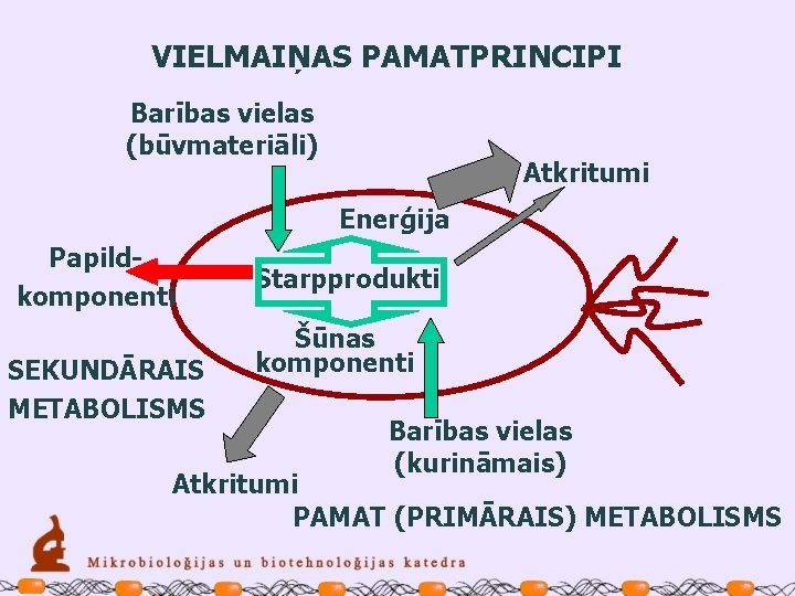 VIELMAIŅAS PAMATPRINCIPI Barības vielas (būvmateriāli) Atkritumi Enerģija Papildkomponenti SEKUNDĀRAIS METABOLISMS Starpprodukti Šūnas komponenti Barības