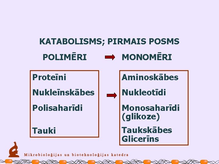 KATABOLISMS; PIRMAIS POSMS POLIMĒRI MONOMĒRI Proteīni Aminoskābes Nukleīnskābes Nukleotīdi Polisaharīdi Monosaharīdi (glikoze) Tauki Taukskābes