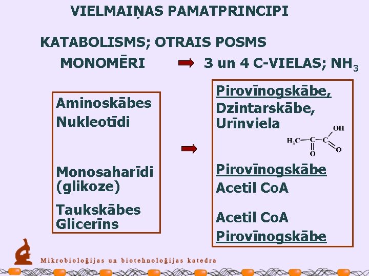 VIELMAIŅAS PAMATPRINCIPI KATABOLISMS; OTRAIS POSMS MONOMĒRI 3 un 4 C-VIELAS; NH 3 Aminoskābes Nukleotīdi
