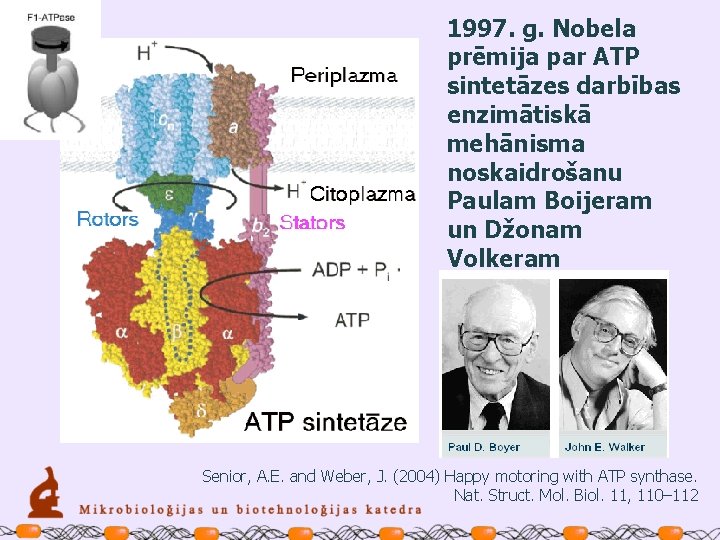 1997. g. Nobela prēmija par ATP sintetāzes darbības enzimātiskā mehānisma noskaidrošanu Paulam Boijeram un