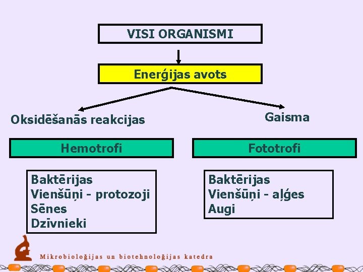 VISI ORGANISMI Enerģijas avots Oksidēšanās reakcijas Hemotrofi Baktērijas Vienšūņi - protozoji Sēnes Dzīvnieki Gaisma