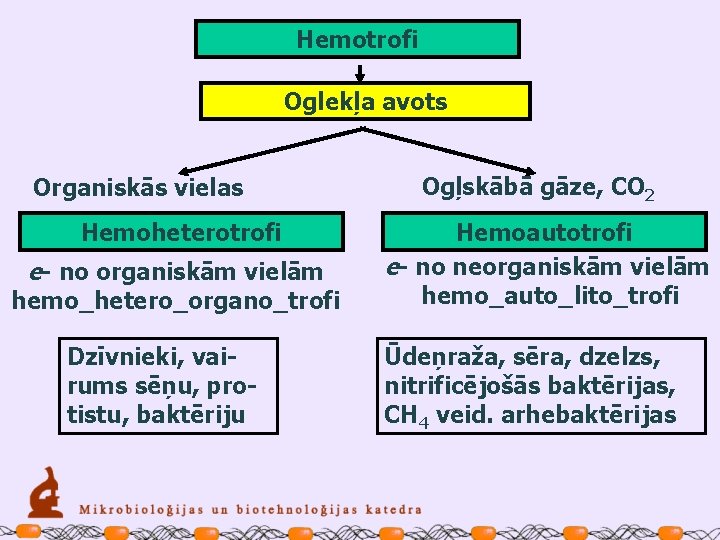 Hemotrofi Oglekļa avots Organiskās vielas Hemoheterotrofi e- no organiskām vielām hemo_hetero_organo_trofi Dzīvnieki, vairums sēņu,