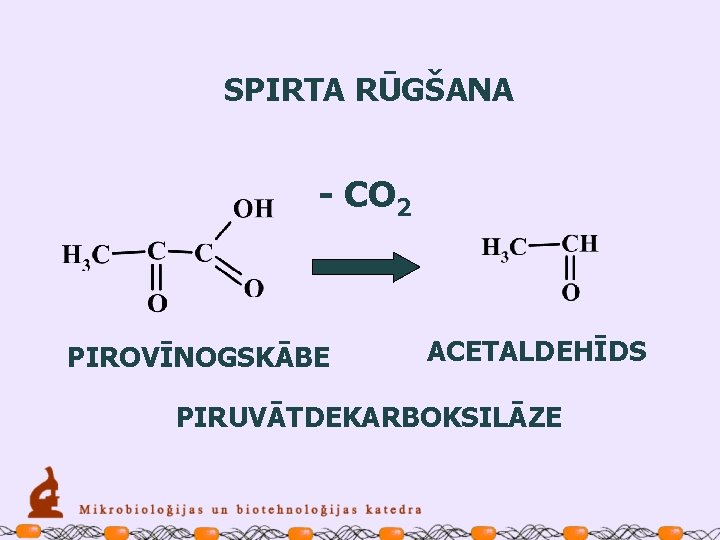 SPIRTA RŪGŠANA - CO 2 PIROVĪNOGSKĀBE ACETALDEHĪDS PIRUVĀTDEKARBOKSILĀZE 