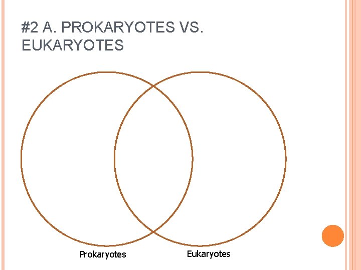 #2 A. PROKARYOTES VS. EUKARYOTES Prokaryotes Eukaryotes 