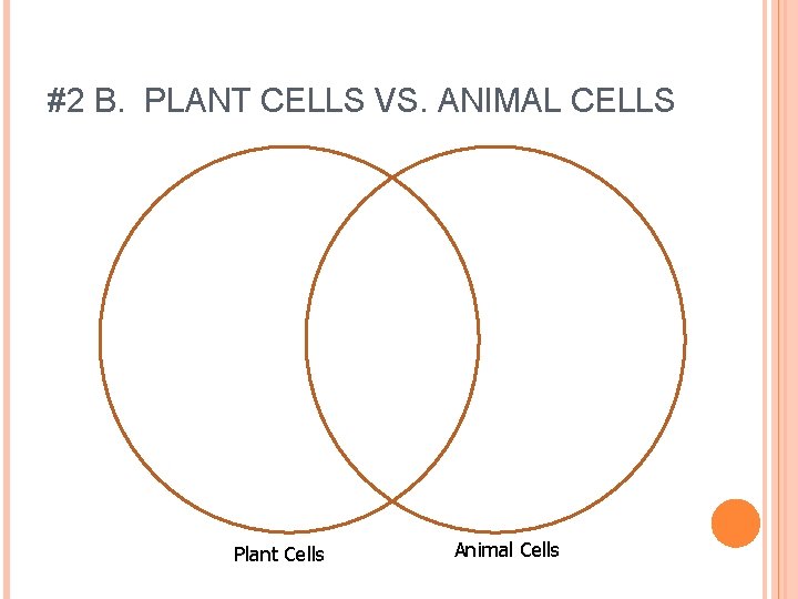 #2 B. PLANT CELLS VS. ANIMAL CELLS Plant Cells Animal Cells 