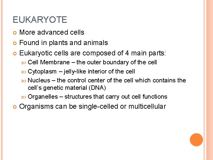 EUKARYOTE More advanced cells Found in plants and animals Eukaryotic cells are composed of