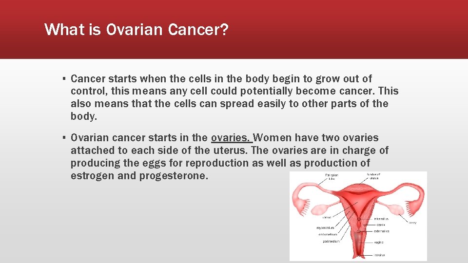 What is Ovarian Cancer? ▪ Cancer starts when the cells in the body begin