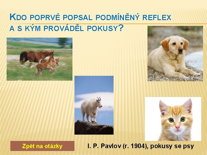 KDO POPRVÉ POPSAL PODMÍNĚNÝ REFLEX A S KÝM PROVÁDĚL POKUSY? Zpět na otázky I.