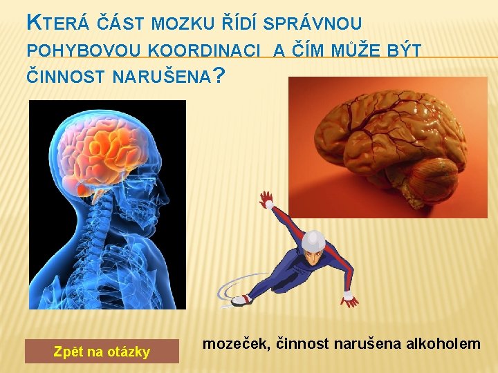 KTERÁ ČÁST MOZKU ŘÍDÍ SPRÁVNOU POHYBOVOU KOORDINACI A ČÍM MŮŽE BÝT ČINNOST NARUŠENA? Zpět