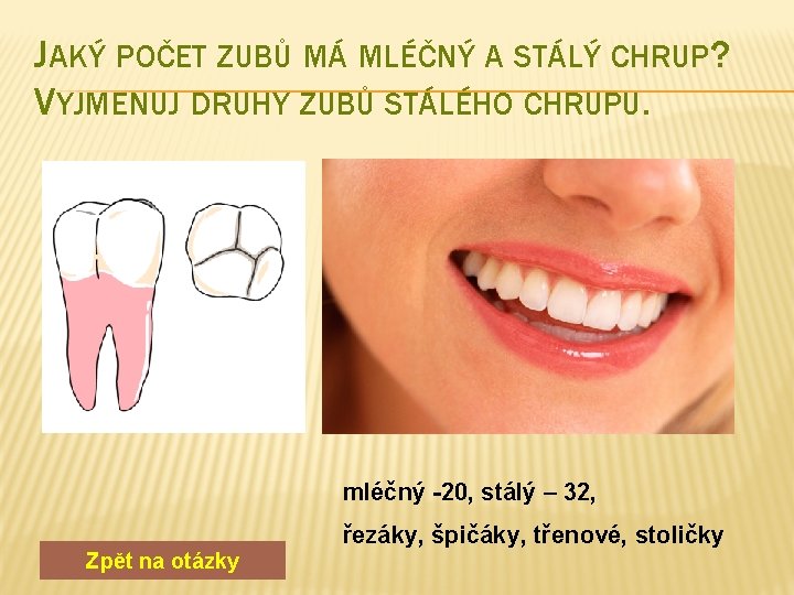 JAKÝ POČET ZUBŮ MÁ MLÉČNÝ A STÁLÝ CHRUP? VYJMENUJ DRUHY ZUBŮ STÁLÉHO CHRUPU. mléčný