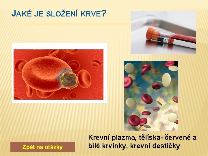 JAKÉ JE SLOŽENÍ KRVE? Zpět na otázky Krevní plazma, tělíska- červené a bílé krvinky,