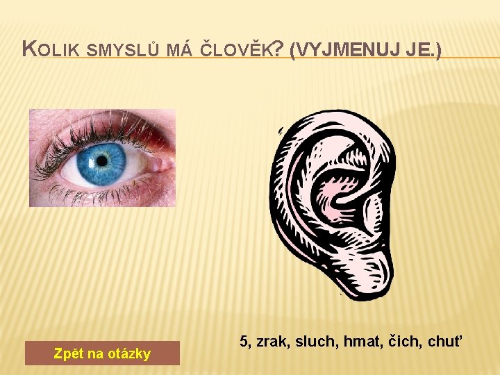 KOLIK SMYSLŮ MÁ ČLOVĚK? (VYJMENUJ JE. ) Zpět na otázky 5, zrak, sluch, hmat,