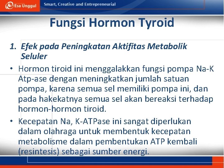 Fungsi Hormon Tyroid 1. Efek pada Peningkatan Aktifitas Metabolik Seluler • Hormon tiroid ini
