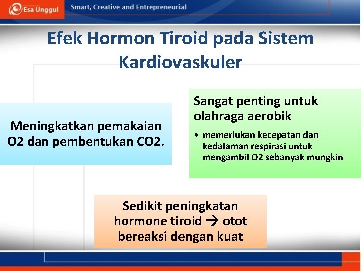 Efek Hormon Tiroid pada Sistem Kardiovaskuler Meningkatkan pemakaian O 2 dan pembentukan CO 2.