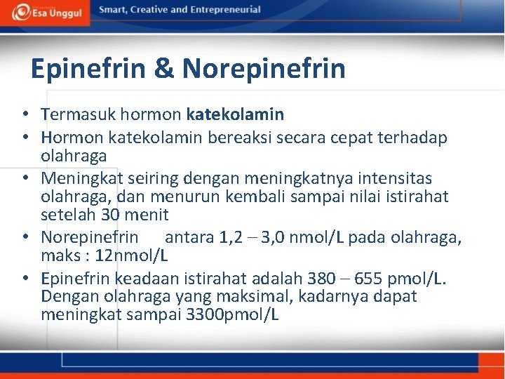 Epinefrin & Norepinefrin • Termasuk hormon katekolamin • Hormon katekolamin bereaksi secara cepat terhadap