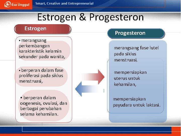 Estrogen & Progesteron Estrogen Progesteron § merangsang perkembangan karakteristik kelamin sekunder pada wanita, §