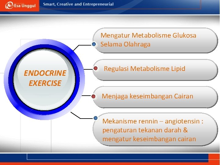 Mengatur Metabolisme Glukosa Selama Olahraga ENDOCRINE EXERCISE Regulasi Metabolisme Lipid Menjaga keseimbangan Cairan Mekanisme