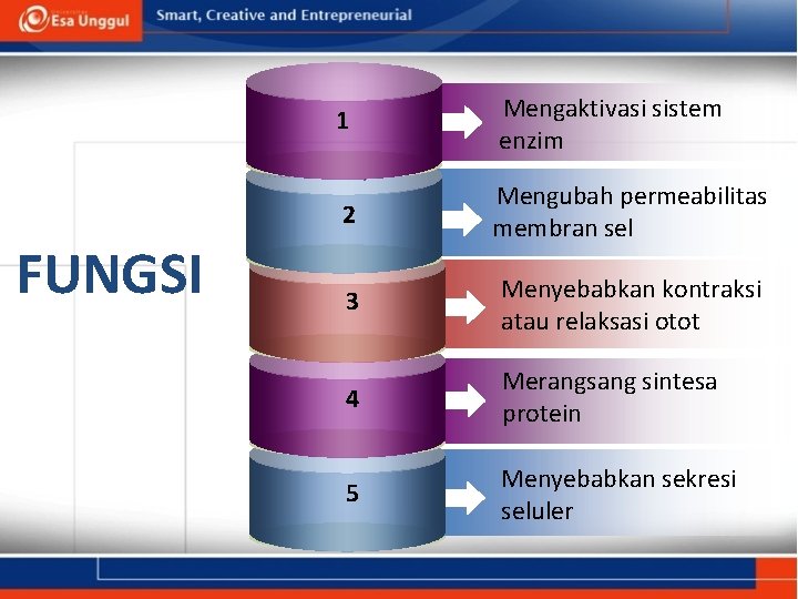 1 Theme. Gallery. FUNGSI Mengaktivasi sistem enzim 2 Mengubah permeabilitas membran sel 3 Menyebabkan