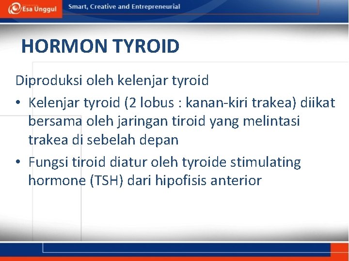HORMON TYROID Diproduksi oleh kelenjar tyroid • Kelenjar tyroid (2 lobus : kanan-kiri trakea)
