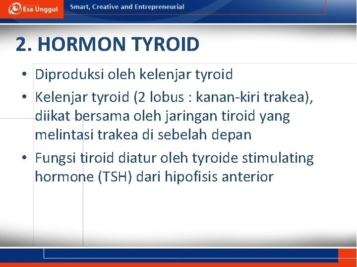 2. HORMON TYROID • Diproduksi oleh kelenjar tyroid • Kelenjar tyroid (2 lobus :