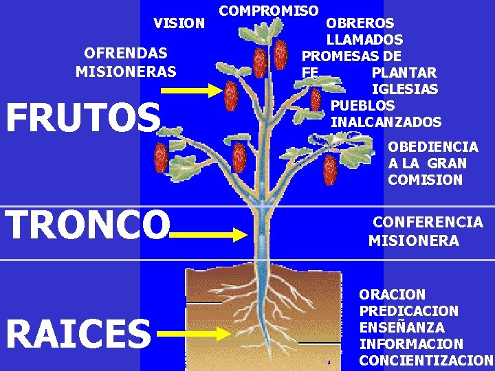VISION OFRENDAS MISIONERAS FRUTOS TRONCO RAICES COMPROMISO OBREROS LLAMADOS PROMESAS DE FE PLANTAR IGLESIAS