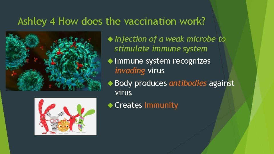 Ashley 4 How does the vaccination work? Injection of a weak microbe to stimulate