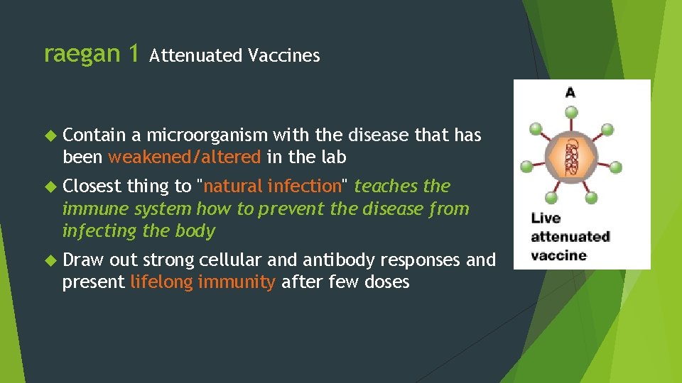 raegan 1 Attenuated Vaccines Contain a microorganism with the disease that has been weakened/altered