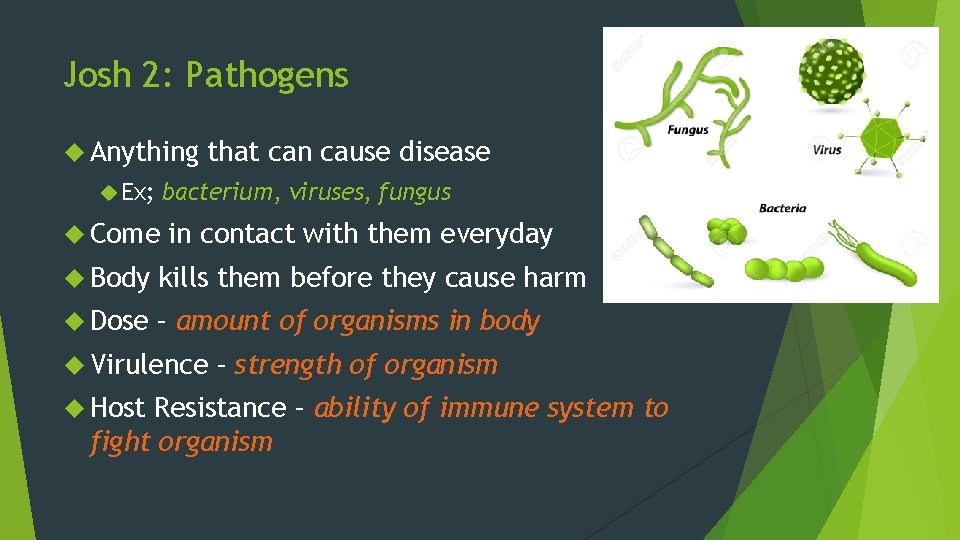 Josh 2: Pathogens Anything Ex; that can cause disease bacterium, viruses, fungus Come in