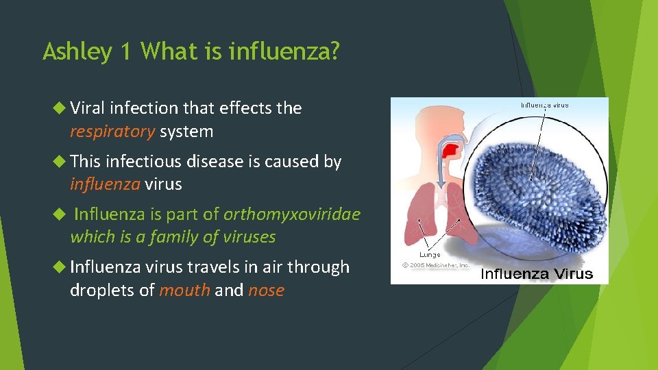 Ashley 1 What is influenza? Viral infection that effects the respiratory system This infectious