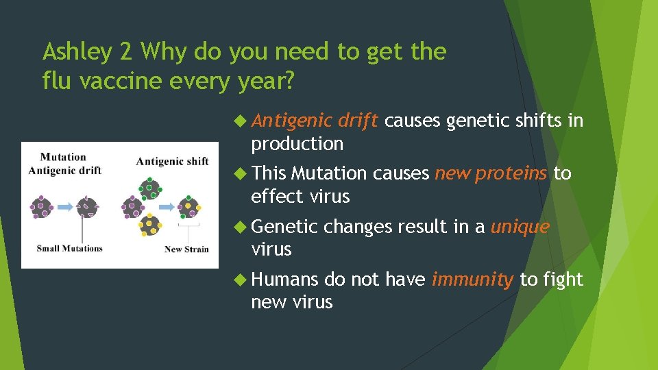 Ashley 2 Why do you need to get the flu vaccine every year? Antigenic