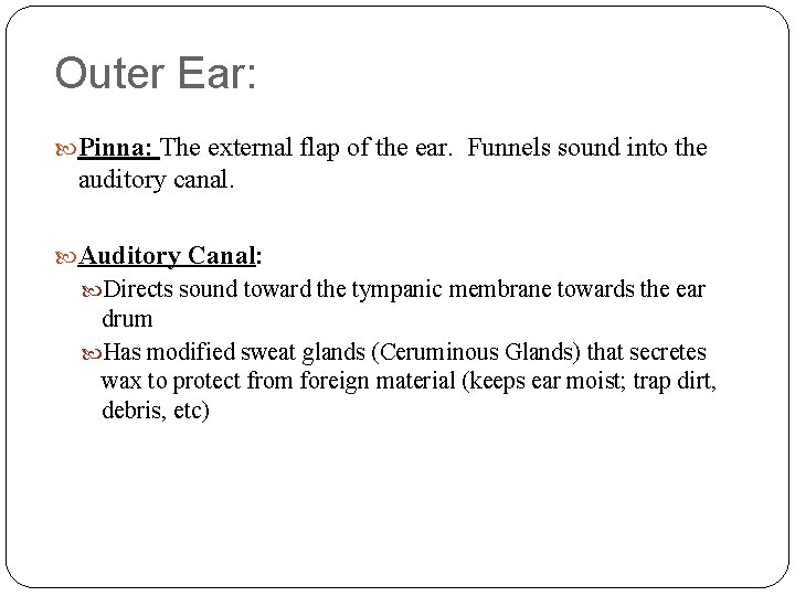Outer Ear: Pinna: The external flap of the ear. Funnels sound into the auditory Outer Ear: Pinna: The external flap of the ear. Funnels sound into the auditory