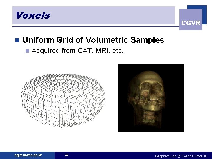 Voxels n CGVR Uniform Grid of Volumetric Samples n Acquired from CAT, MRI, etc.