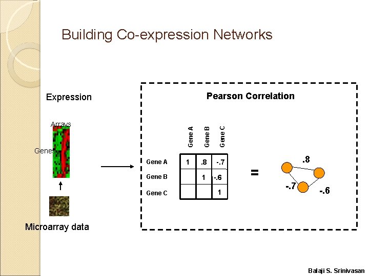 Building Co-expression Networks Gene A Gene B Gene C 1 Gene B Gene A