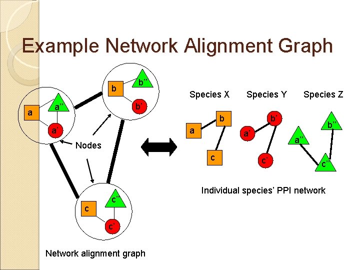 Example Network Alignment Graph b a b’’ Species X Species Y Species Z b’