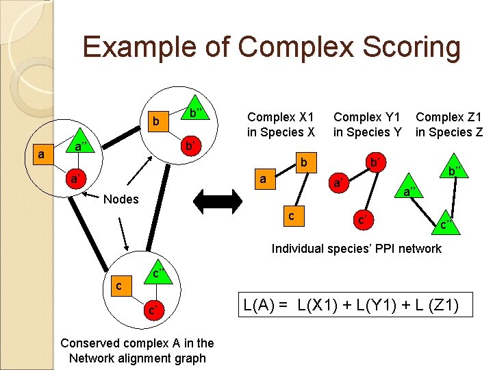 Example of Complex Scoring b a b’’ Complex X 1 in Species X Complex