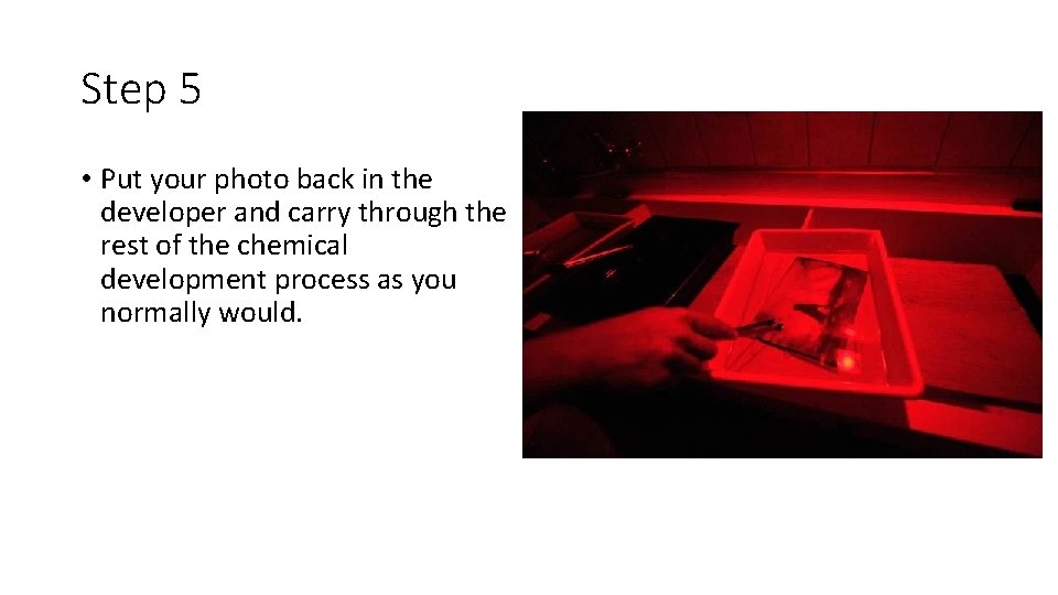 Step 5 • Put your photo back in the developer and carry through the