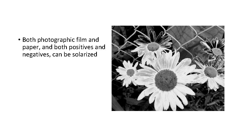  • Both photographic film and paper, and both positives and negatives, can be