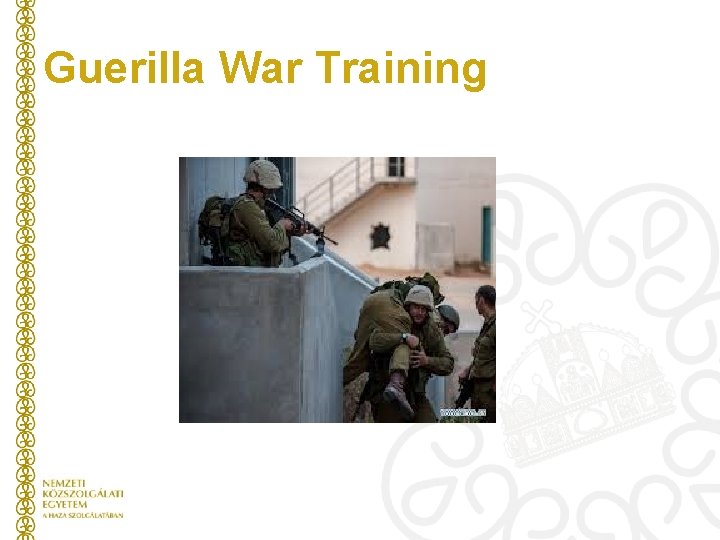 Guerilla War Training 