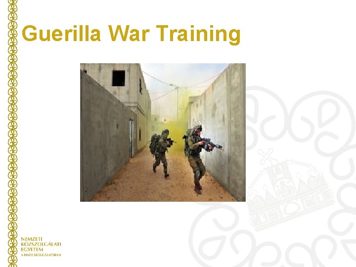 Guerilla War Training 