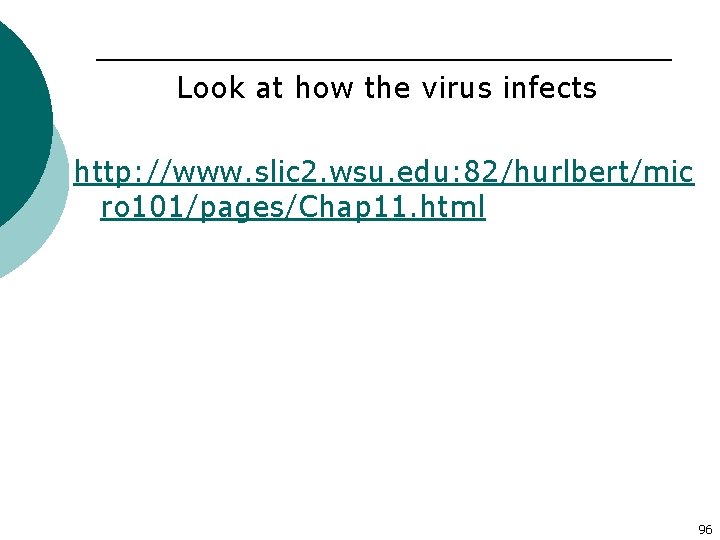 Look at how the virus infects http: //www. slic 2. wsu. edu: 82/hurlbert/mic ro
