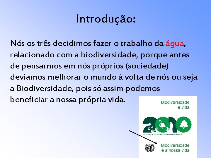 Introdução: Nós os três decidimos fazer o trabalho da água, relacionado com a biodiversidade,