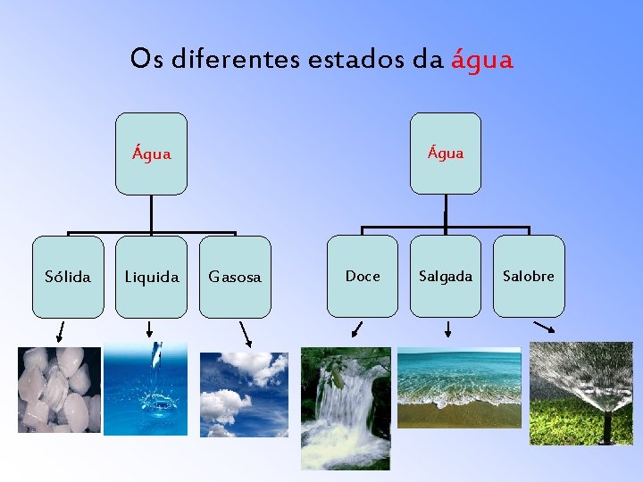 Os diferentes estados da água Água Sólida Liquida Água Gasosa Doce Salgada Salobre 