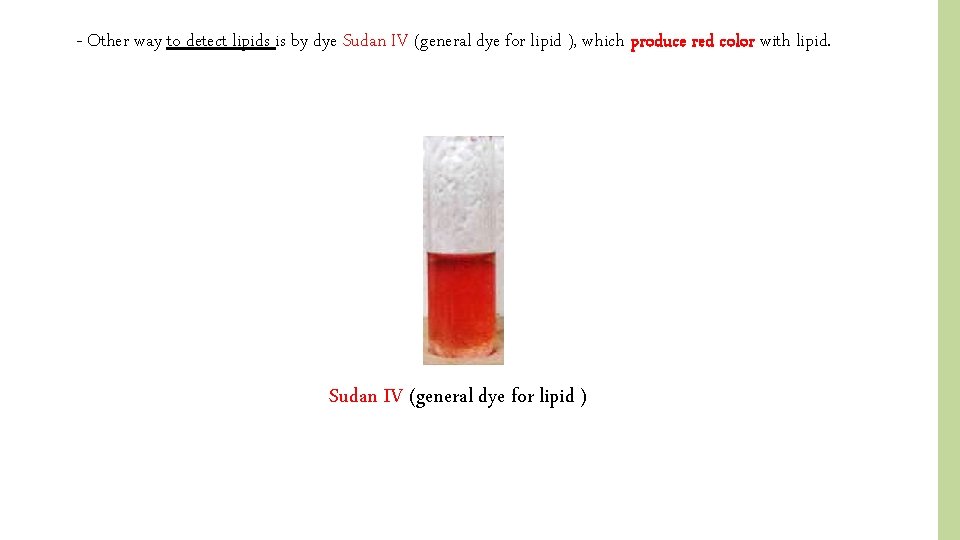 - Other way to detect lipids is by dye Sudan IV (general dye for