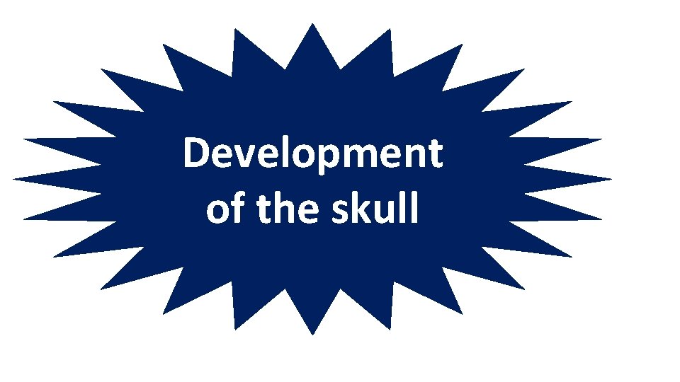Development of the skull Development of the skull