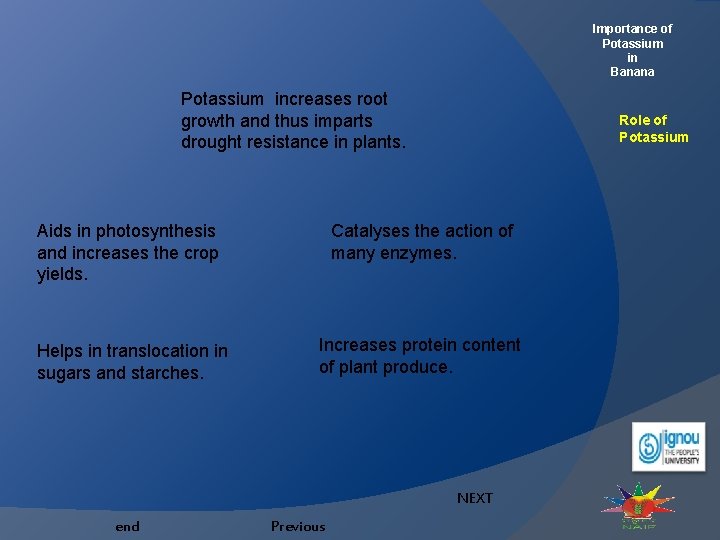 Importance of Potassium in Banana Role and Deficiency