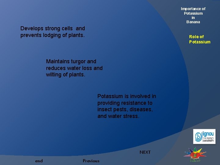 Importance of Potassium in Banana Role and Deficiency